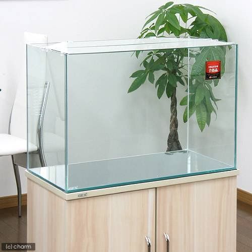 ＧＥＸ グラステリア６００水槽 （６０×３０×４０） ６０ｃｍ水槽（単体） ジェックス お一人様１点限りJu