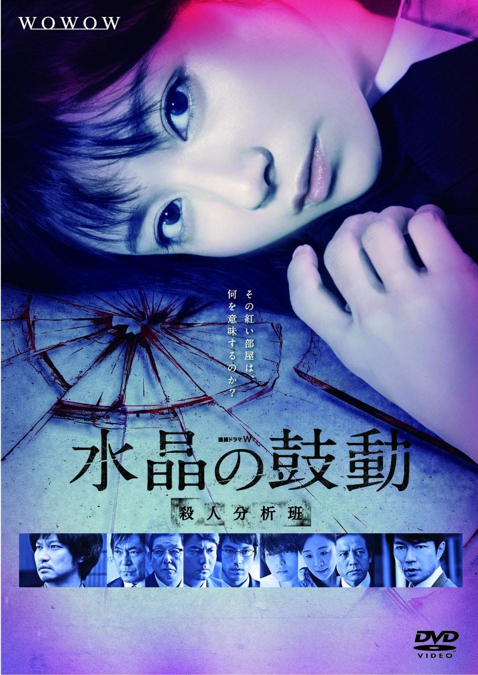 連続ドラマW 水晶の鼓動 殺人分析班 [DVD]