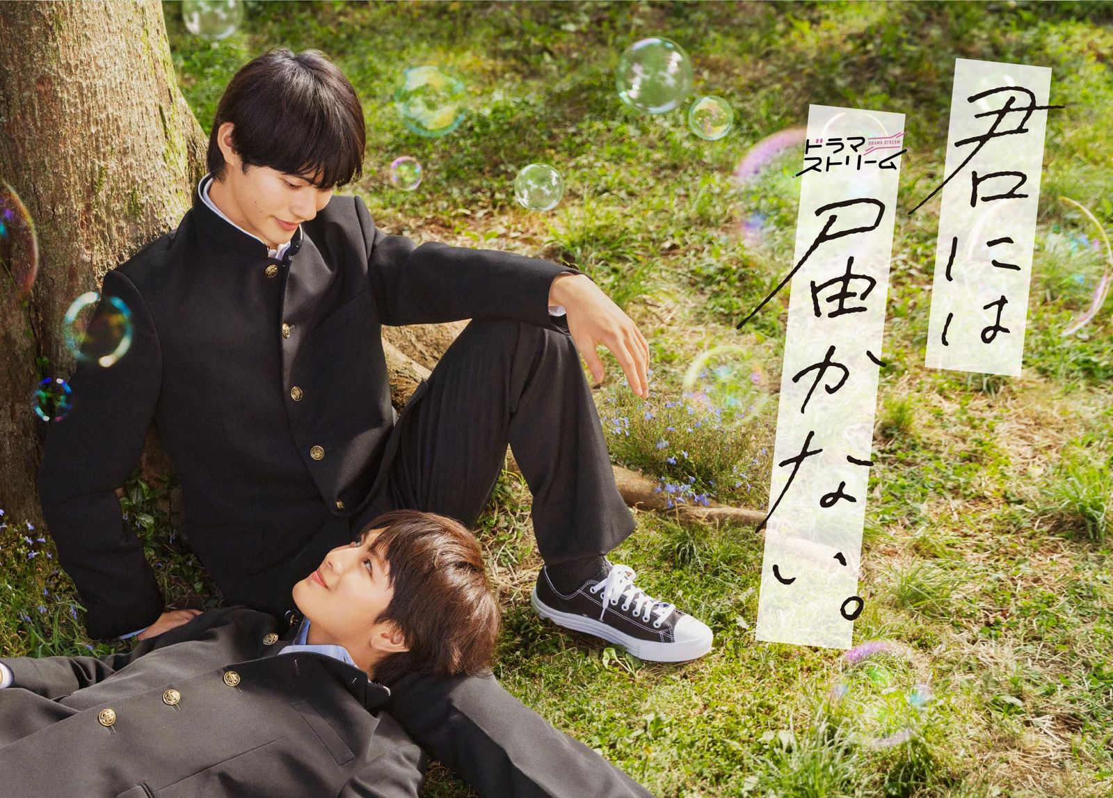 君には届かない。　DVD-BOX [DVD]
