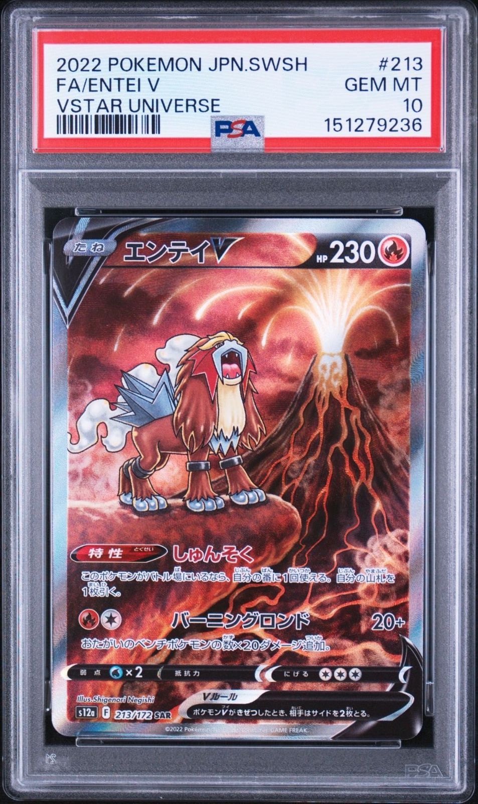 PSA10】VSTARユニバース収録 エンテイV s12a 213/172 SAR #9236 - メルカリ
