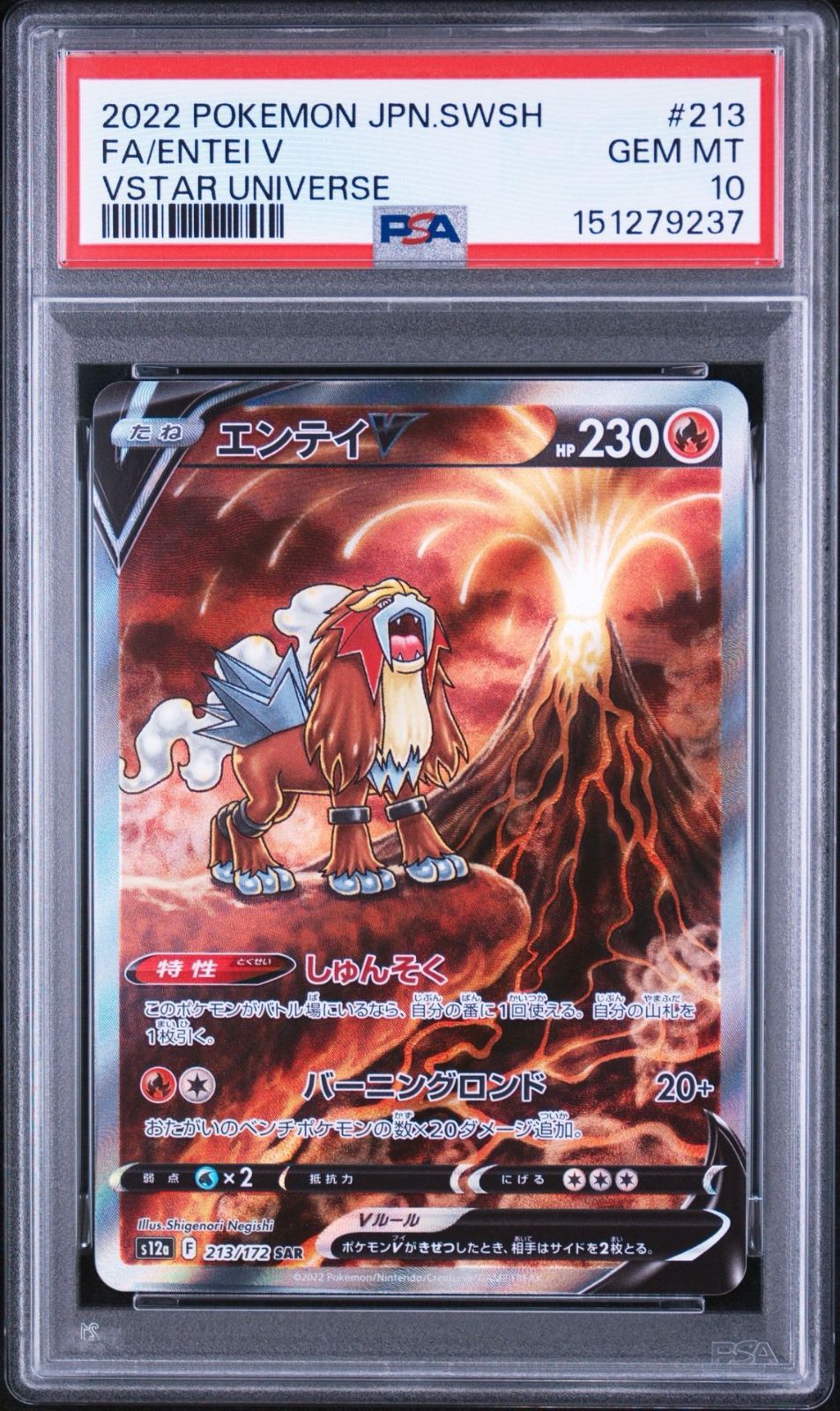 PSA10】VSTARユニバース収録 エンテイV s12a 213/172 SAR #9237 - メルカリ