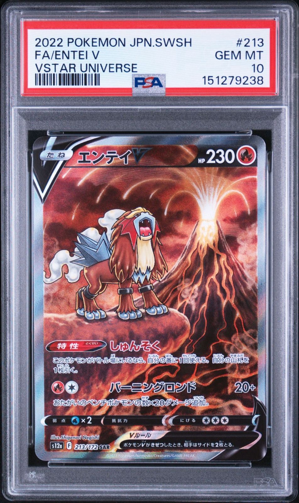 PSA10】VSTARユニバース収録 エンテイV s12a 213/172 SAR #9238 - メルカリ