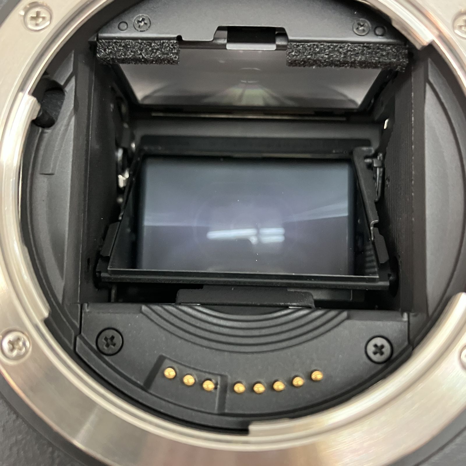 Canon EOS-1Ds Mark II デジタル一眼レフ カメラ ボディ キヤノン