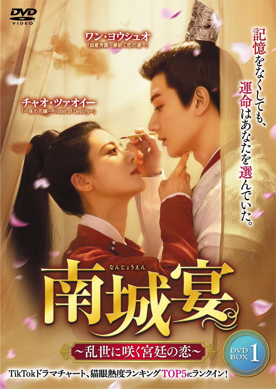 南城宴 ～乱世に咲く宮廷の恋～ DVD-BOX①その他
