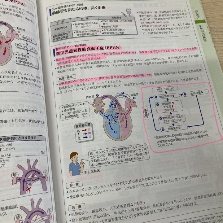 △01)【1点限り!】病気がみえる vol.15 小児科 第1版/医療情報科学研究