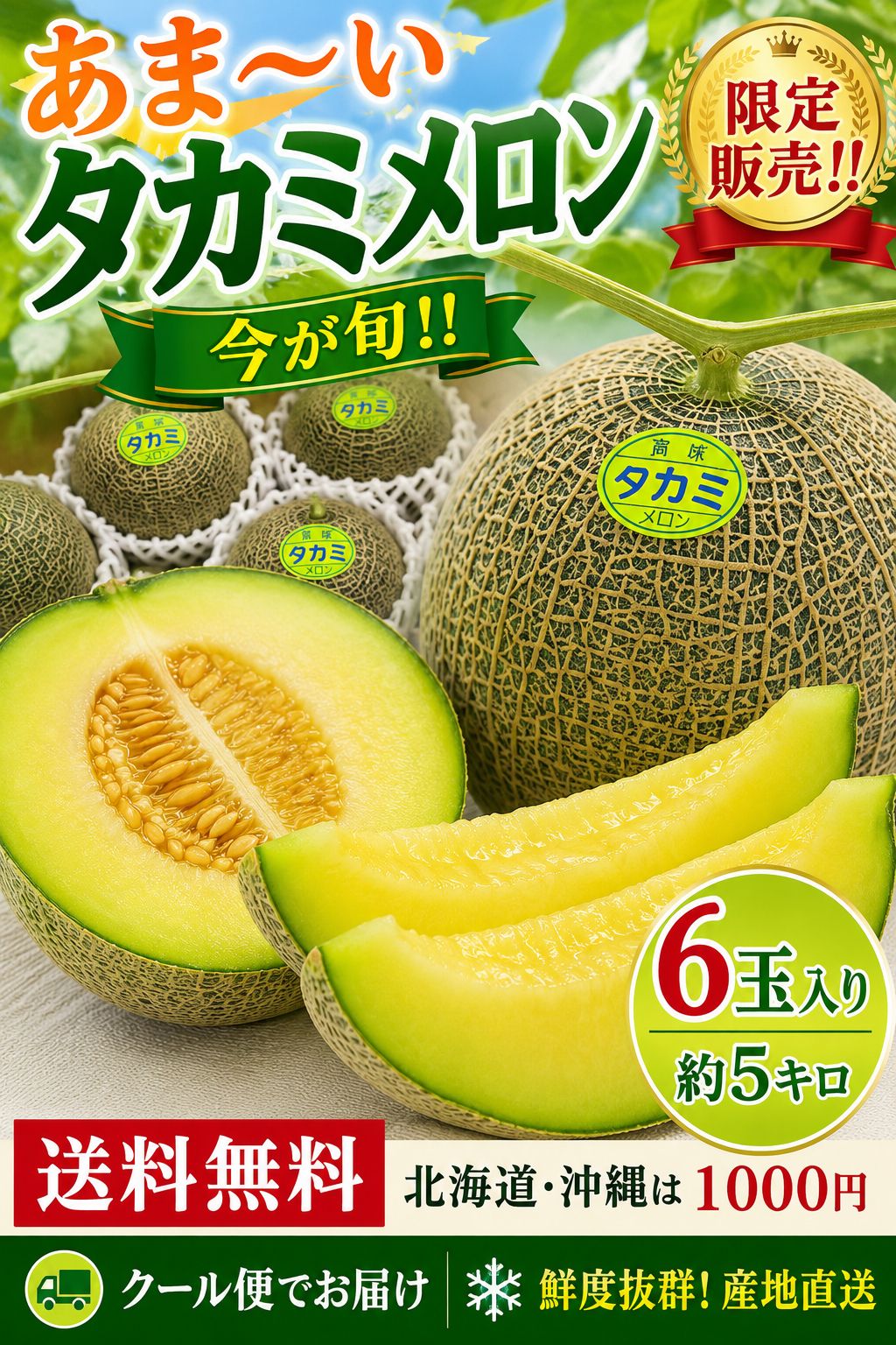 🍈愛知県産 タカミメロン 6玉 送料無料 - メルカリ