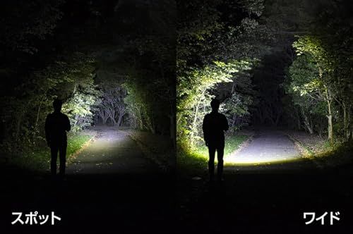 GENTOS(ジェントス) 懐中電灯 LEDライト 充電式 200~900ルーメン レクシード RX-285R/RX-286R/RX-304R/RX-386R/RX-486PBt b64ac40a