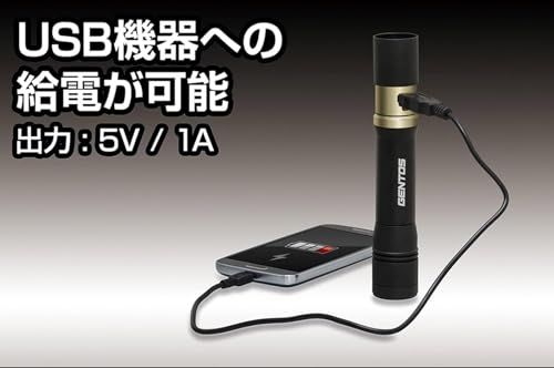 GENTOS(ジェントス) 懐中電灯 LEDライト 充電式 200~900ルーメン レクシード RX-285R/RX-286R/RX-304R/RX-386R/RX-486PBt 7fe819ed GENTOS(ジェントス) 懐中電灯 LEDライト 充電式 200~900ルーメン レクシード RX-285R/RX-286R/RX-304R/RX-386R/RX-486PBt 7fe819ed