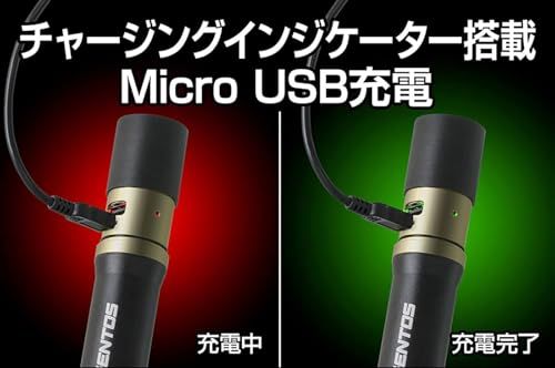 GENTOS(ジェントス) 懐中電灯 LEDライト 充電式 200~900ルーメン レクシード RX-285R/RX-286R/RX-304R/RX-386R/RX-486PBt 7fe819ed GENTOS(ジェントス) 懐中電灯 LEDライト 充電式 200~900ルーメン レクシード RX-285R/RX-286R/RX-304R/RX-386R/RX-486PBt 7fe819ed