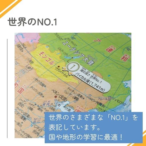レイメイ藤井 地球儀 先生おすすめ小学生の地球儀 20cm OYV11/ 13816b1a