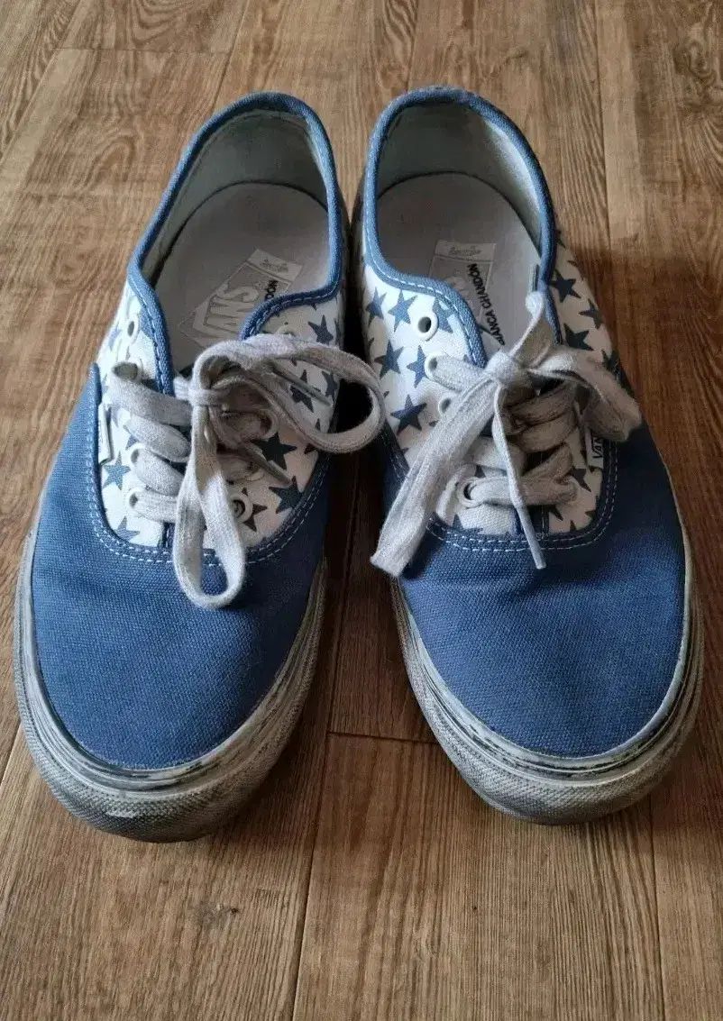 VANS ビアンカシャンソン #8 5 260 VANS