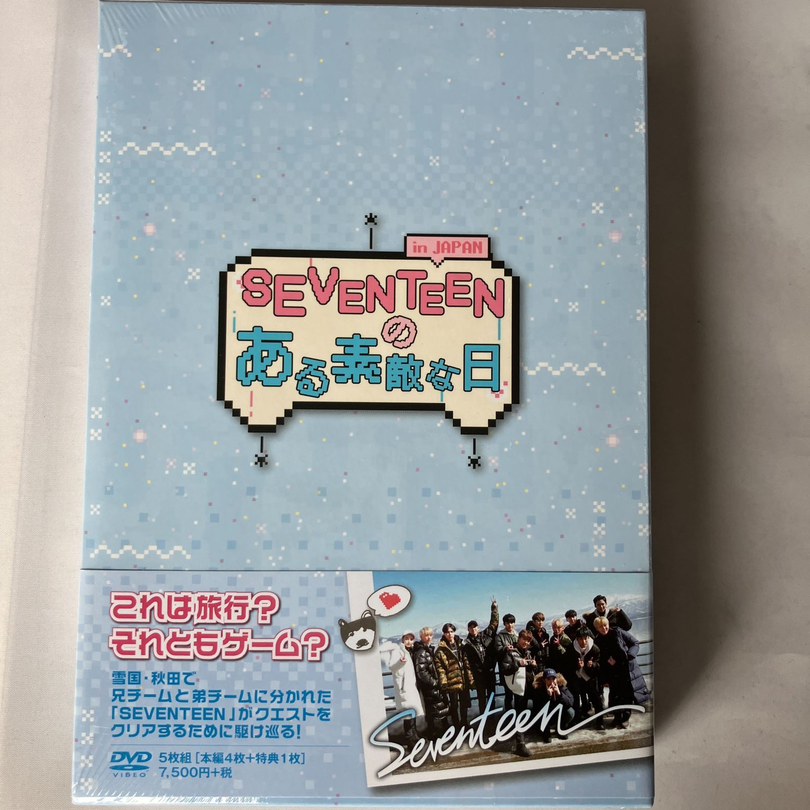 SEVENTEEN DVD「SEVENTEENのある素敵な日 in JAPAN」（未開封