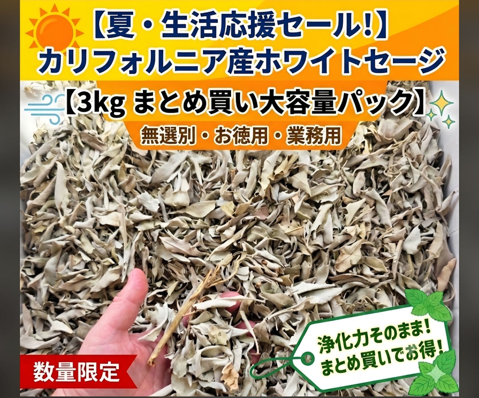 【夏セール】カリフォルニア産 極上ホワイトセージ 無選別ミックス お徳用 大容量パック 3Kg 業務用 卸売り 浄化用 お香 スマッジング ヨガ 瞑想 サロン 訳あり 空間浄化 天然石 パワーストーン 詰め替え 送料無料
