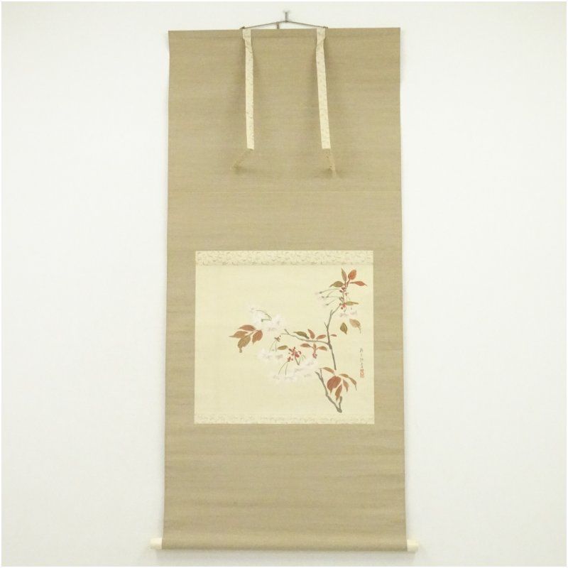 山下新太郎筆　桜　肉筆絹本掛軸（保護箱） 掛け軸 床の間 書 おしゃれ 絵画 表具 芸術 茶道 年中掛け インテリア 茶掛 掛物 和室