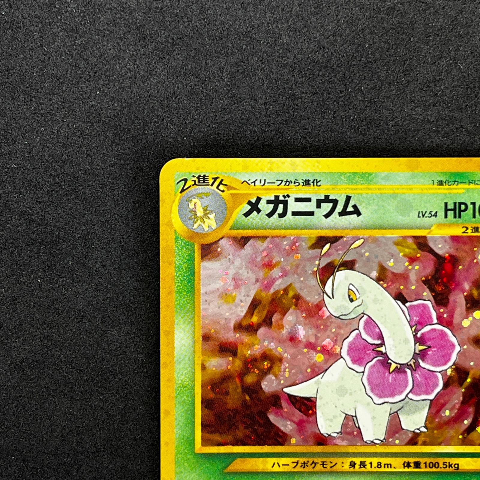 ポケモンカード 旧裏まとめ売り ホウオウ　メガニウム カブトプス プテラ ☆ポケモンカードゲーム 旧裏 LV54HP100NO154-NEOPF メガニウム(右中央
