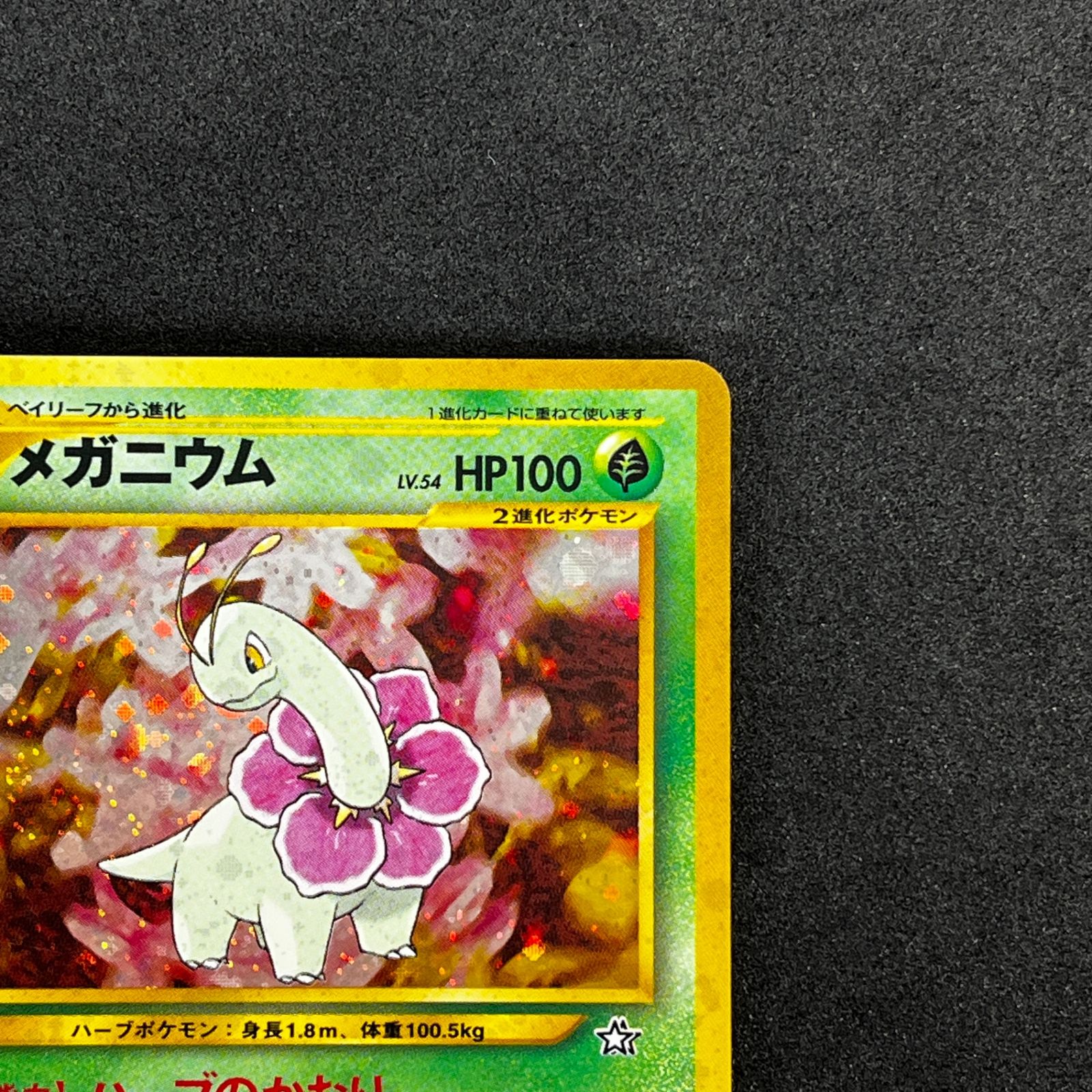 ☆ポケモンカードゲーム 旧裏 LV54HP100NO154-NEOPF メガニウム(右中央