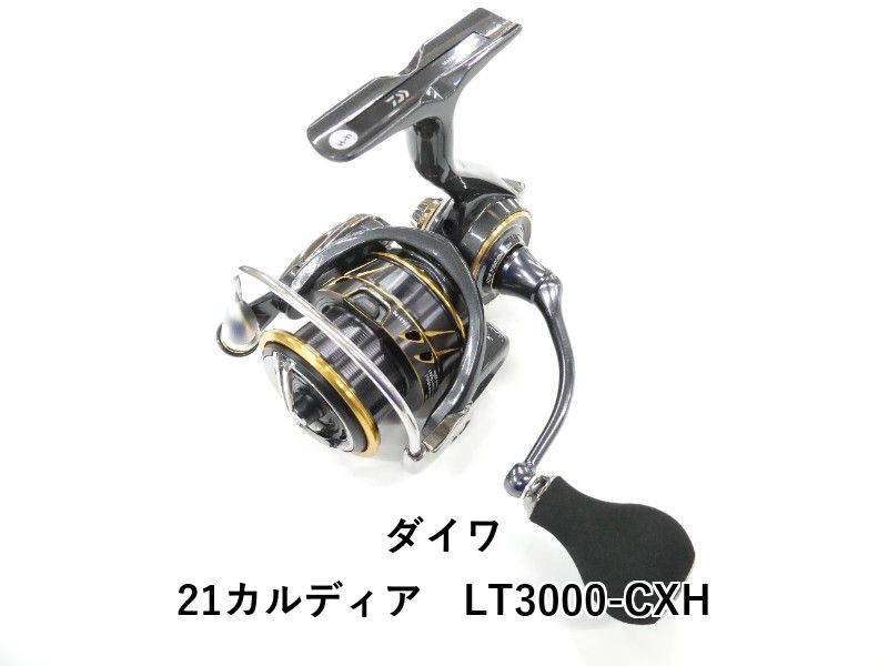 ダイワ 21カルディア　LT3000-CXH (01-9106120018)