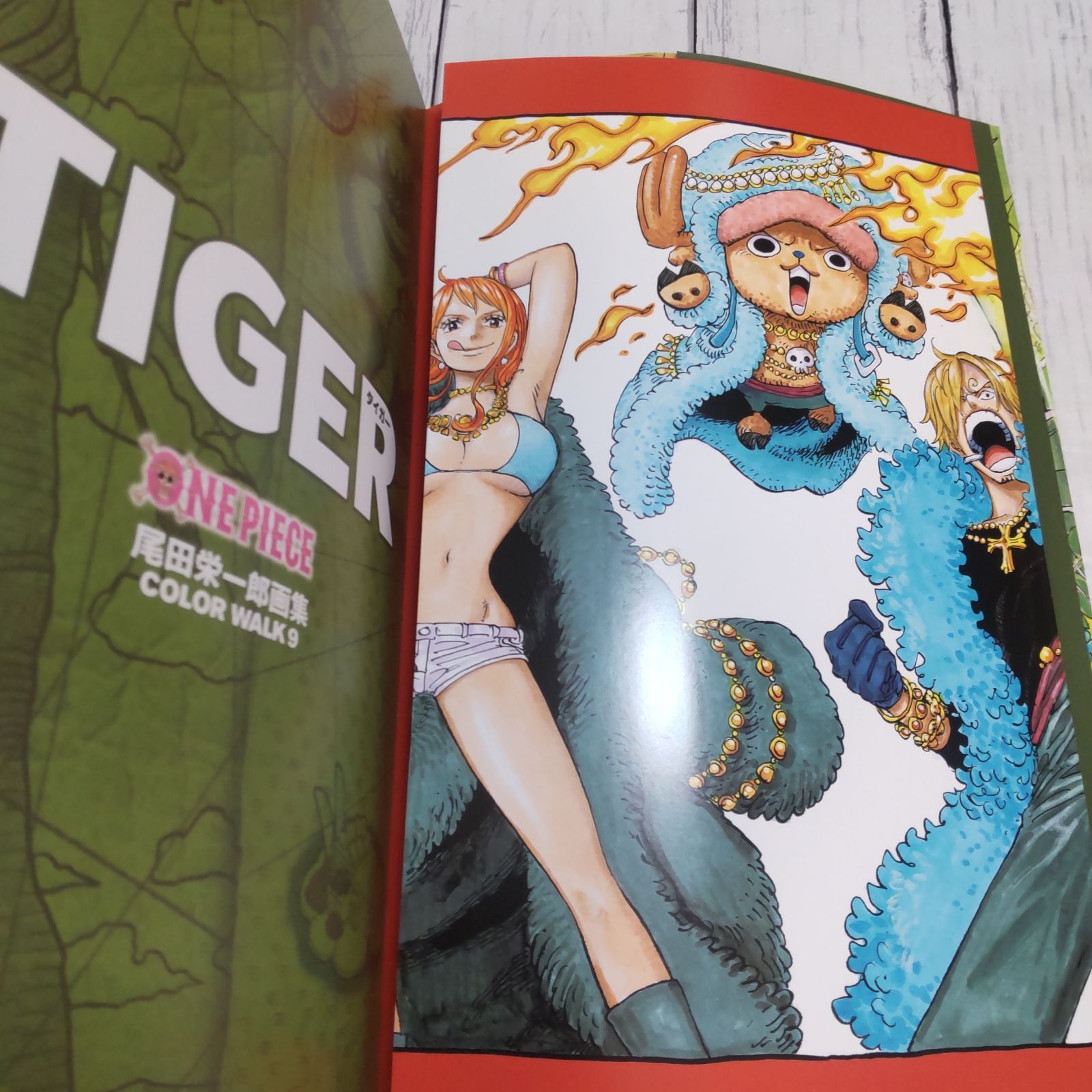 2冊】ONEPIECEイラスト集 COLORWALK 9 TIGER 尾田 栄一郎 ONEPIECE