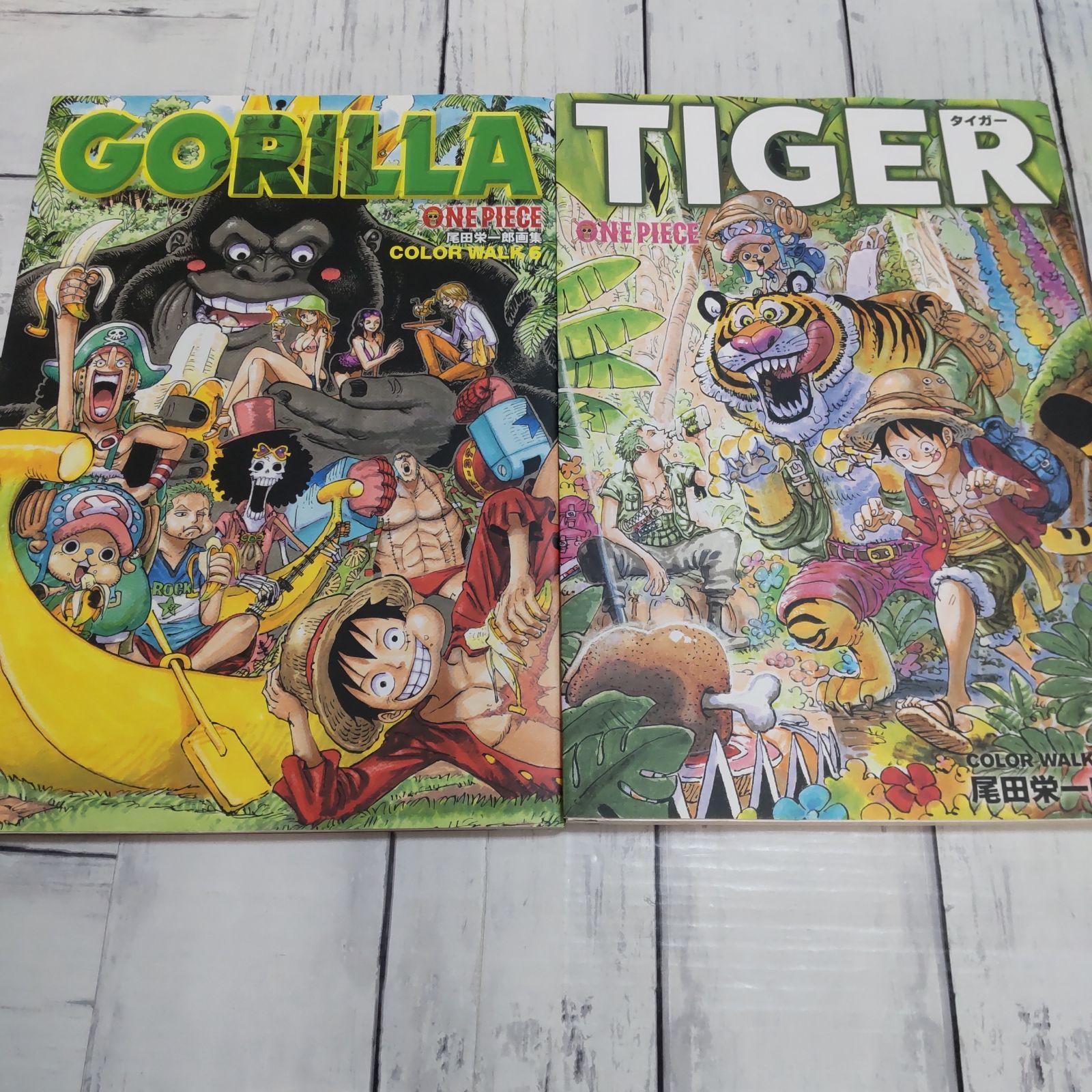 2冊】ONEPIECEイラスト集 COLORWALK 9 TIGER 尾田 栄一郎 ONEPIECE