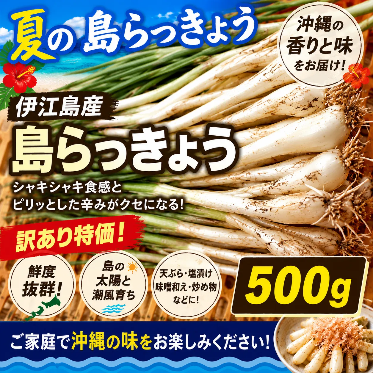 2026年最新】キムチ冷蔵庫の人気アイテム - メルカリ