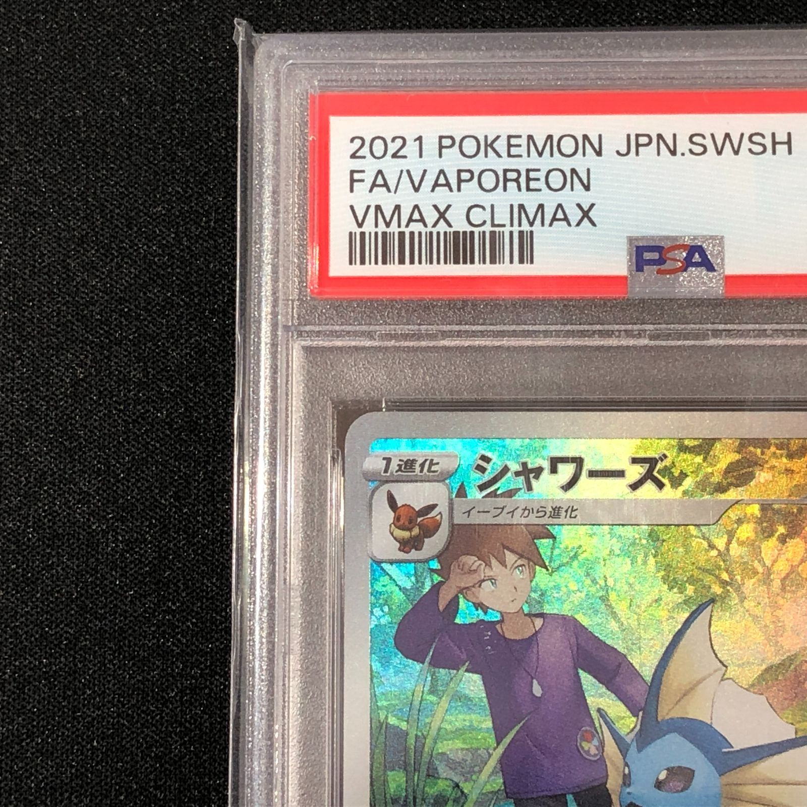七重浜店56-1-080617] PSA10 シャワーズ CHR S8b VMAXクライマックス
