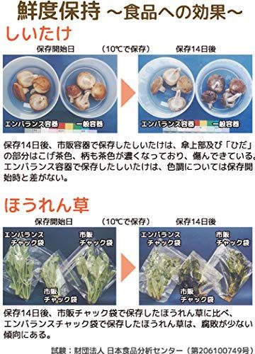 ウィルマックス エンバランス 鮮度保持容器 丸型6L 2個セットt b8cce4e0