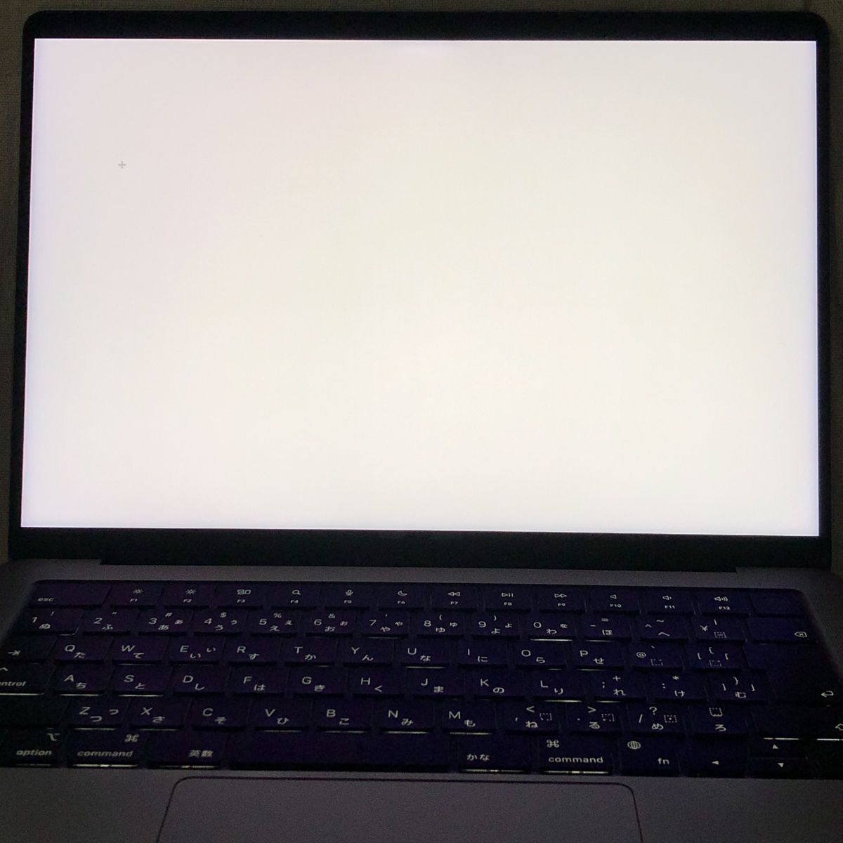 【本体のみ】Apple MacBook Pro (14インチ 2021) 【M1 Pro(CPUコア10/GPUコア16)・メモリ16GB・SSD1TB】A2442 EMC3650/mb-261255(499016) 【本体のみ】Apple MacBook Pro (14インチ 2021) 【M1 Pro(CPUコア10/GPUコア16)・メモリ16GB・SSD1TB】A2442 EMC3650/mb-261255(499016)
