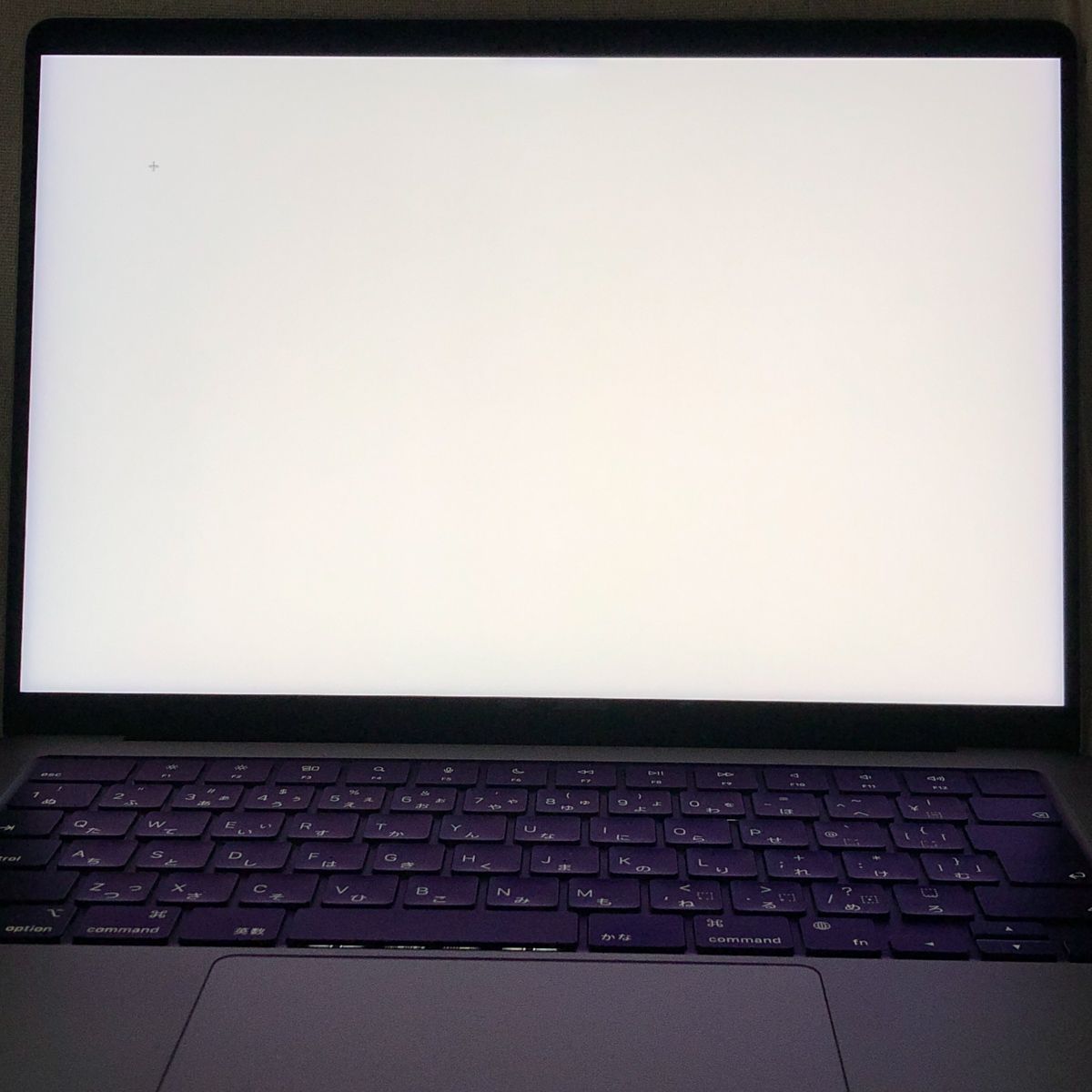 【本体のみ】Apple MacBook Pro (14インチ 2021) 【M1 Pro（CPUコア10/GPUコア16）・メモリ16GB・SSD1TB】A2442 EMC3650/mb-261260（499002）