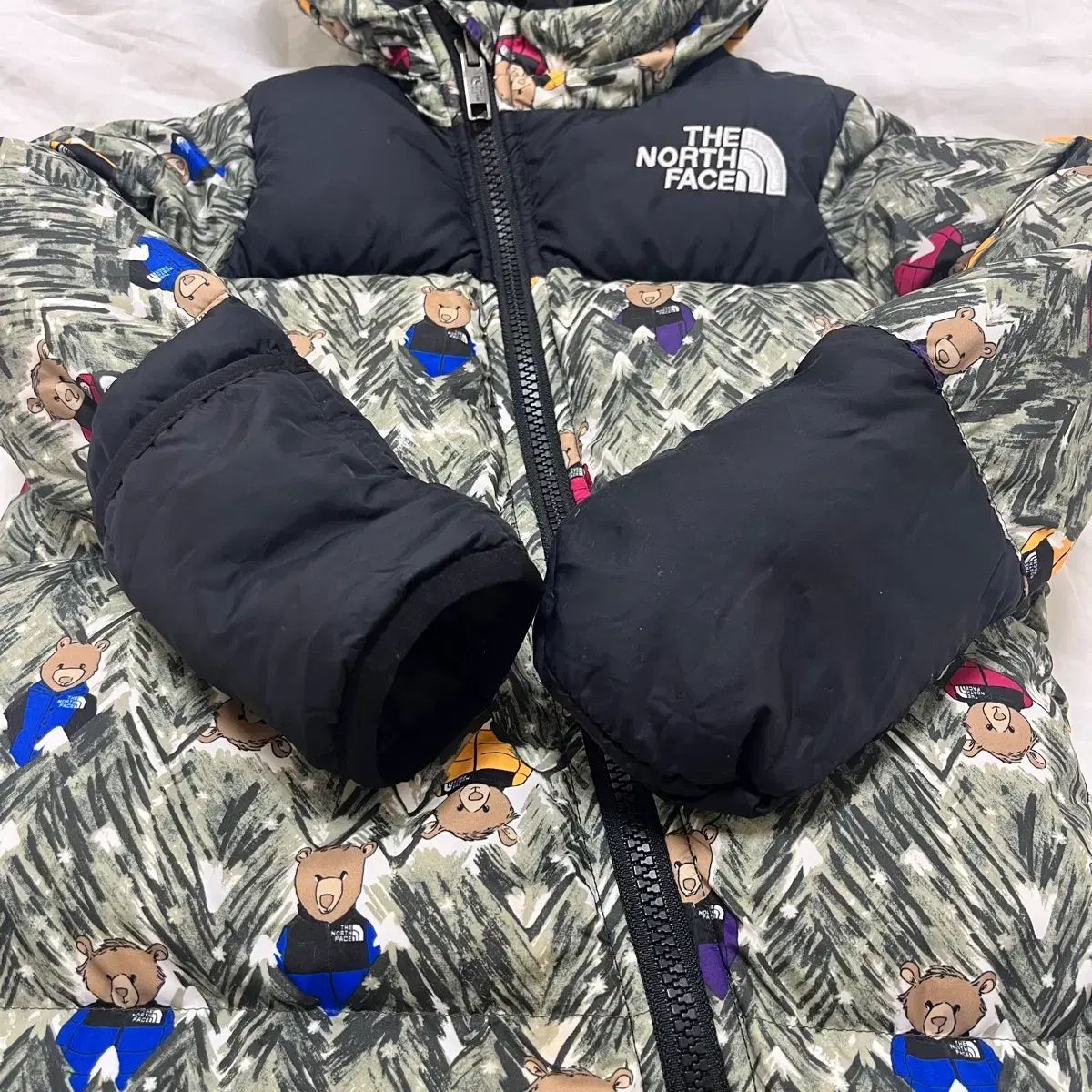 THE NORTH FACE ザノースフェイス 宇宙服 Nuptse(ヌプシ) ダウン