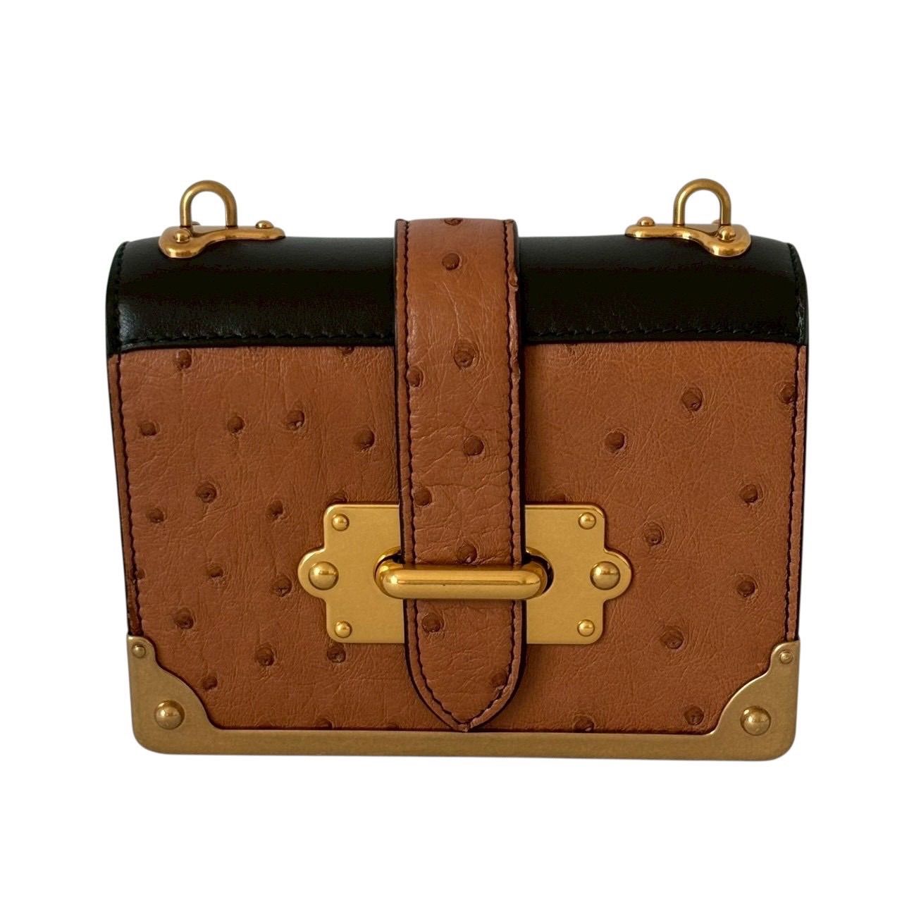 PRADA プラダ カイエ ミニ 1BH058 ポーチ ポシェット 小物入れ コンパクト ミニバッグ オーストリッチ レザー GP ブラウン ブラック