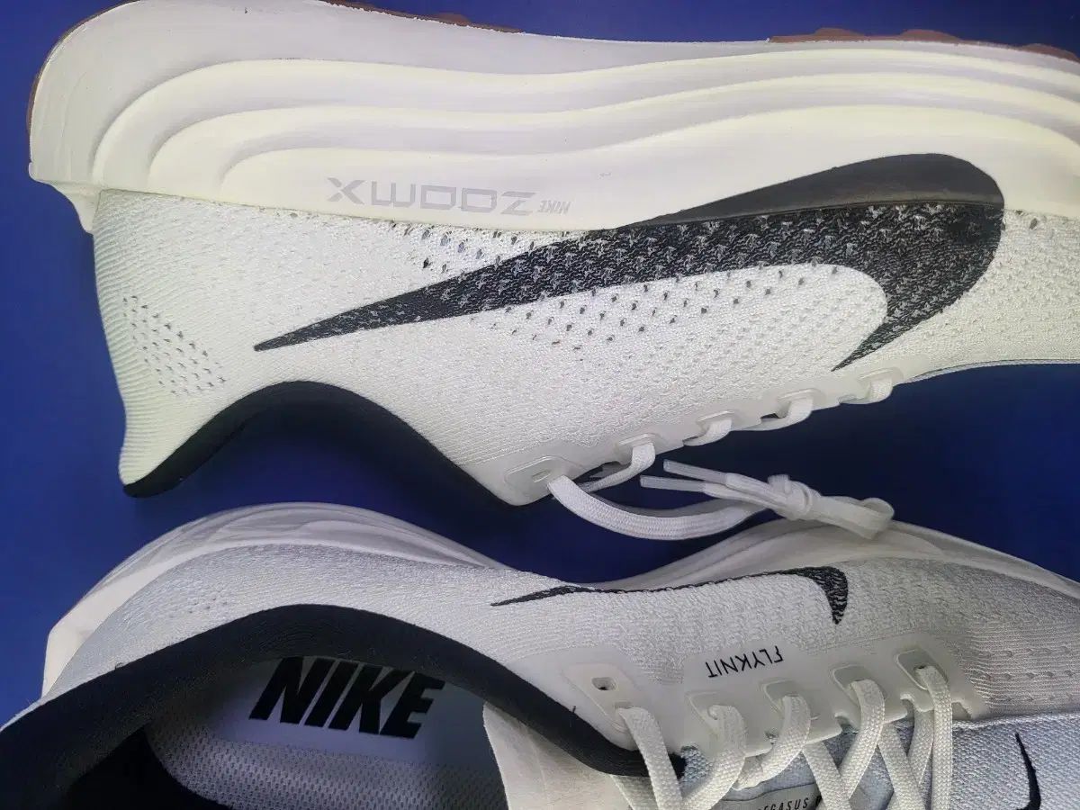 NIKE PEGASUS PLUS