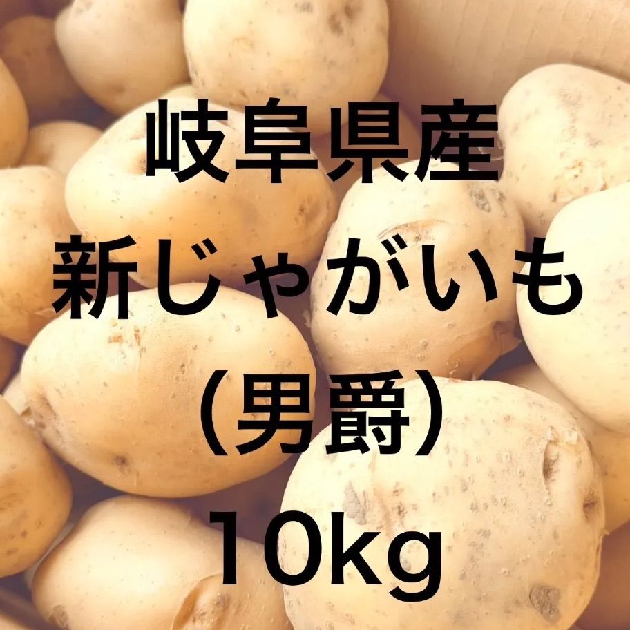岐阜県産 新じゃが（男爵）約10kg 掘りたて- メルカリ