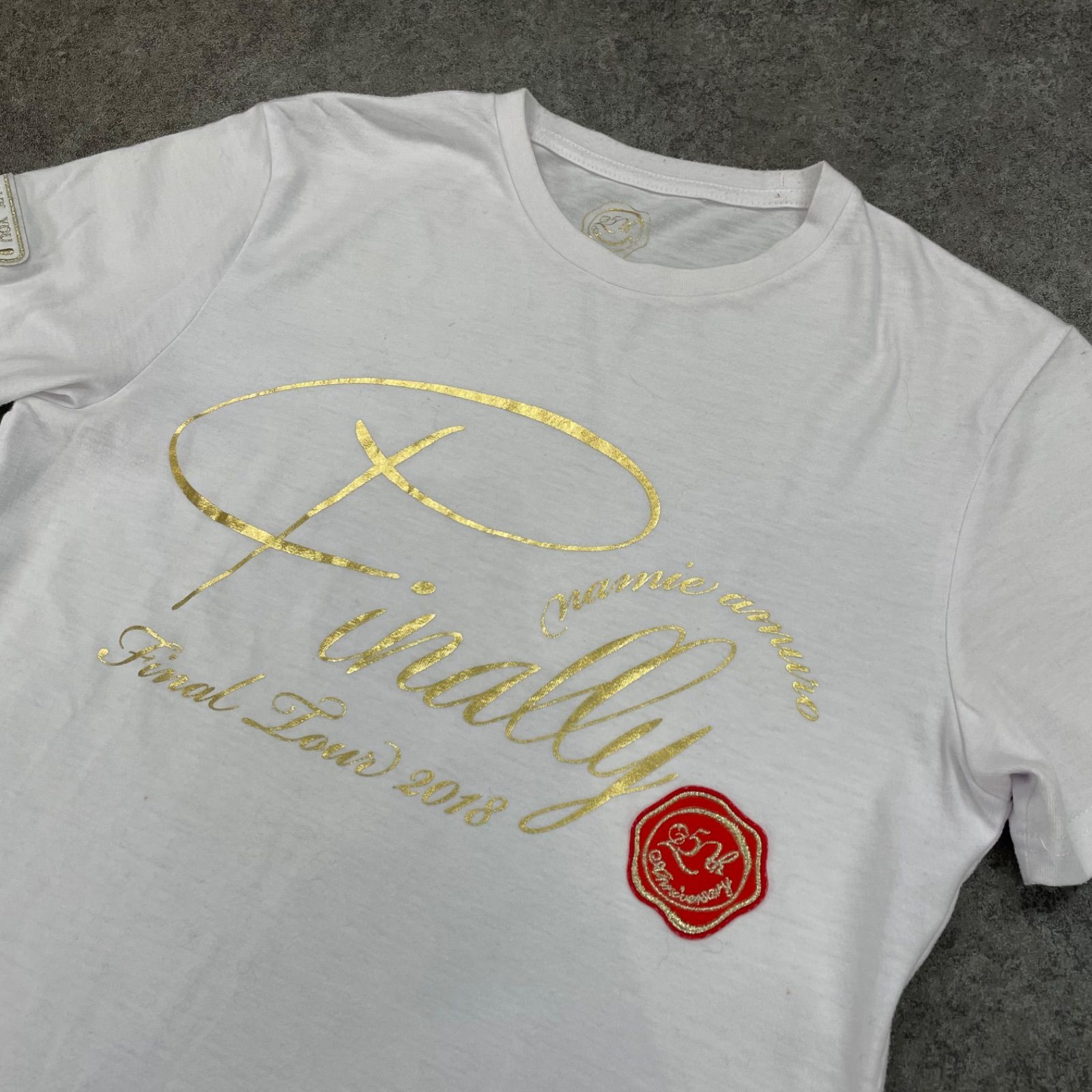 安室奈美恵 ワンピース 25th Finally Final Tour 2018 半袖 Tシャツ
