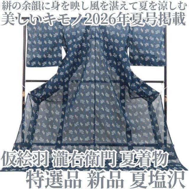 【特選新品・美しいキモノ夏号掲載・夏塩沢】仮絵羽 瀧右衛門 夏着物 夏着物 正絹 tomihisa“絣の余韻に身を映し風を湛えて夏を涼しむ”8706