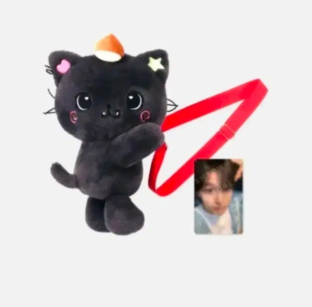 nct wish クーリー バッグ 出品