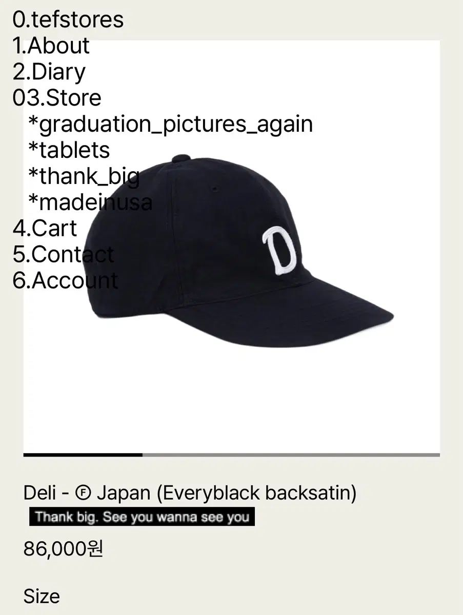 テフストアーズ D キャップ L