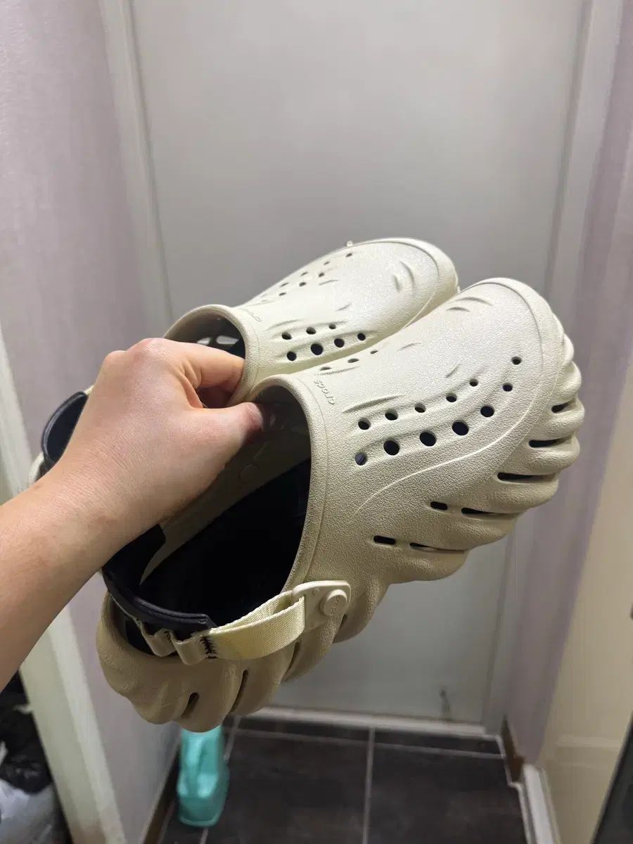 Crocs Ecco klogg 新品 出品