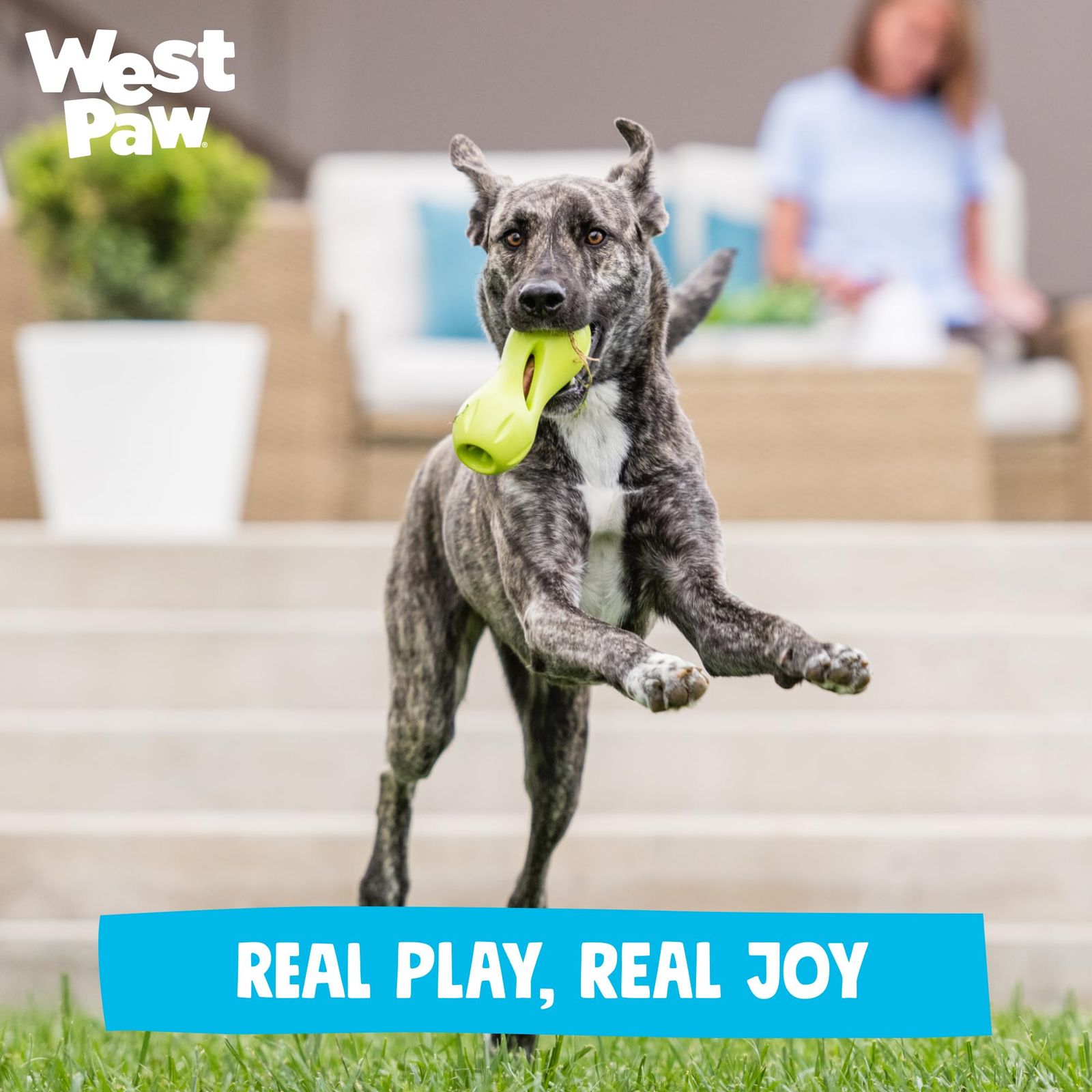West Paw 知育トイ West Paw（ウェストポウ） ゾゴフレックス クイズル 丈夫で壊れにくい