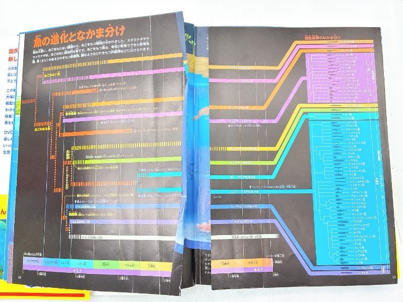 12冊】小学館の図鑑NEO まとめセット 付録多数 DVD付き巻あり 動物