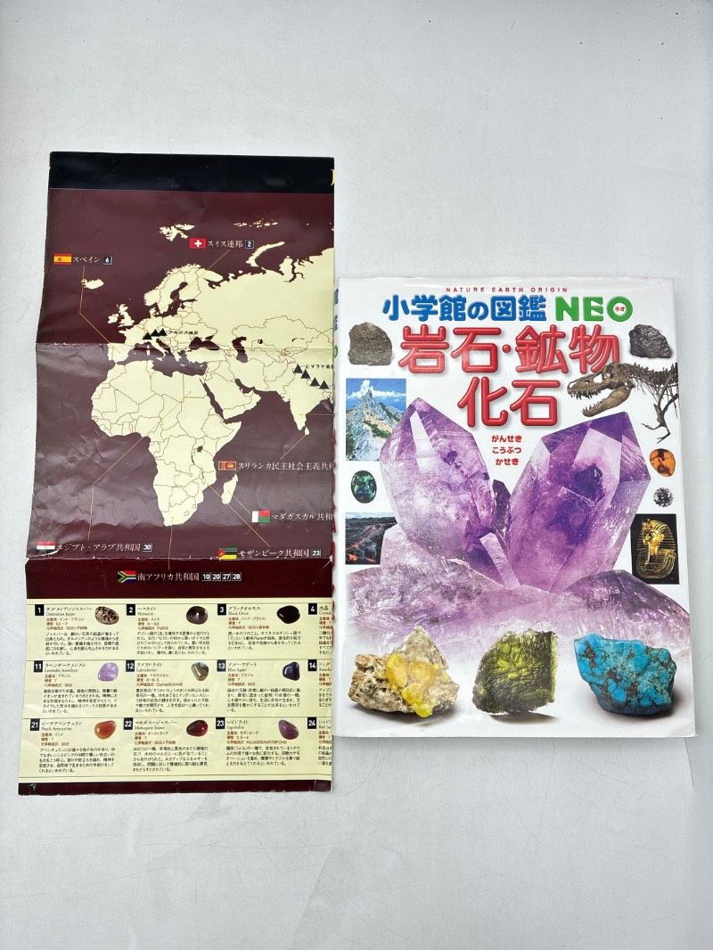 12冊】小学館の図鑑NEO まとめセット 付録多数 DVD付き巻あり 動物 12冊】小学館の図鑑NEO まとめセット 付録多数 DVD付き巻あり 動物