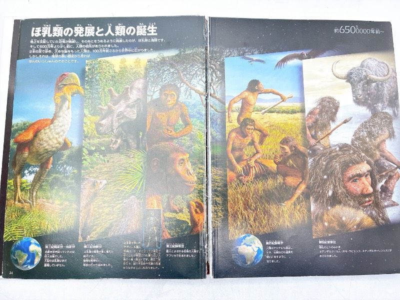 12冊】小学館の図鑑NEO まとめセット 付録多数 DVD付き巻あり 動物