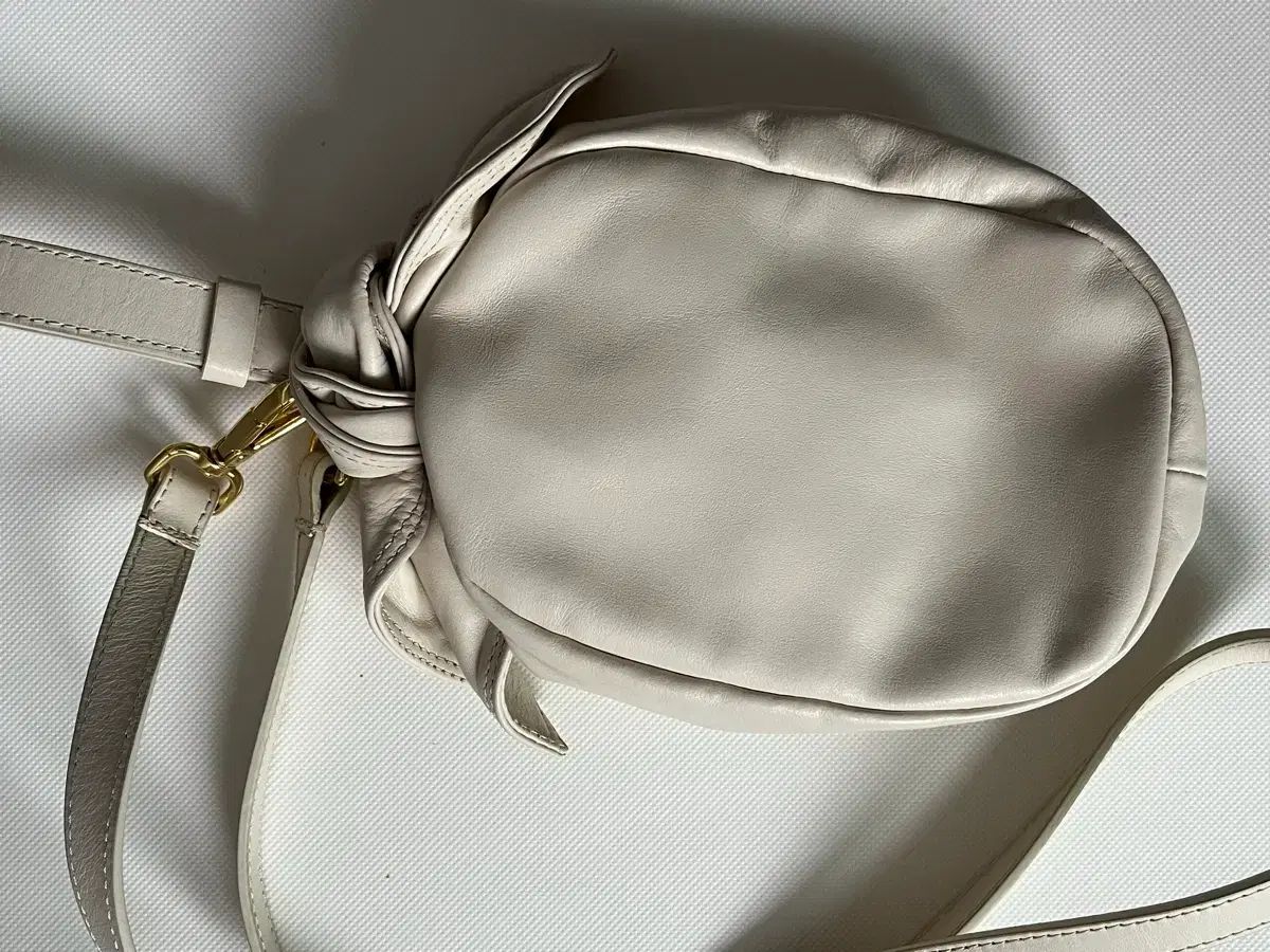 シモネ・ロシャ Bow Bag