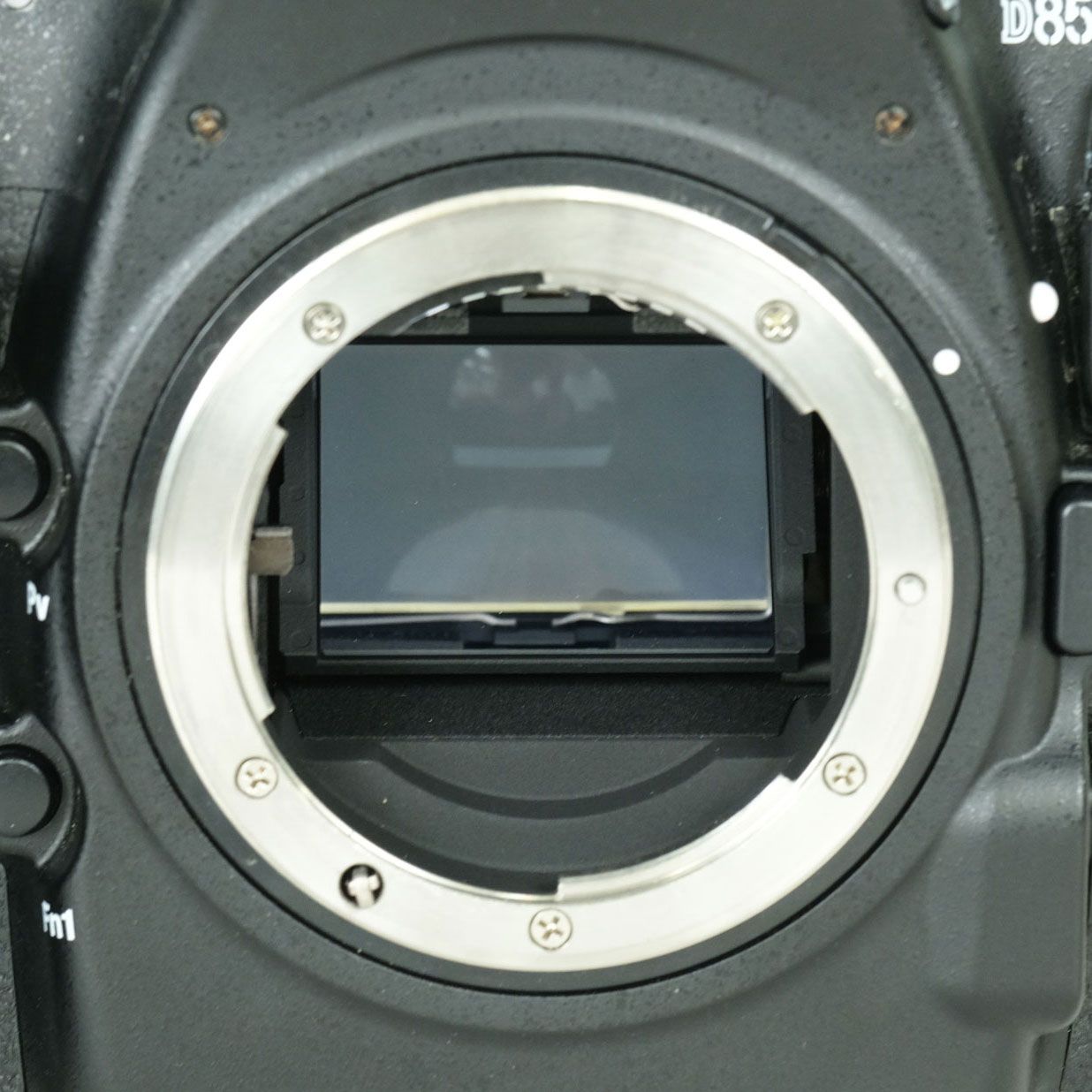 並品 | シャッター数36,610回] Nikon D850 | Nikon Fマウント - メルカリ