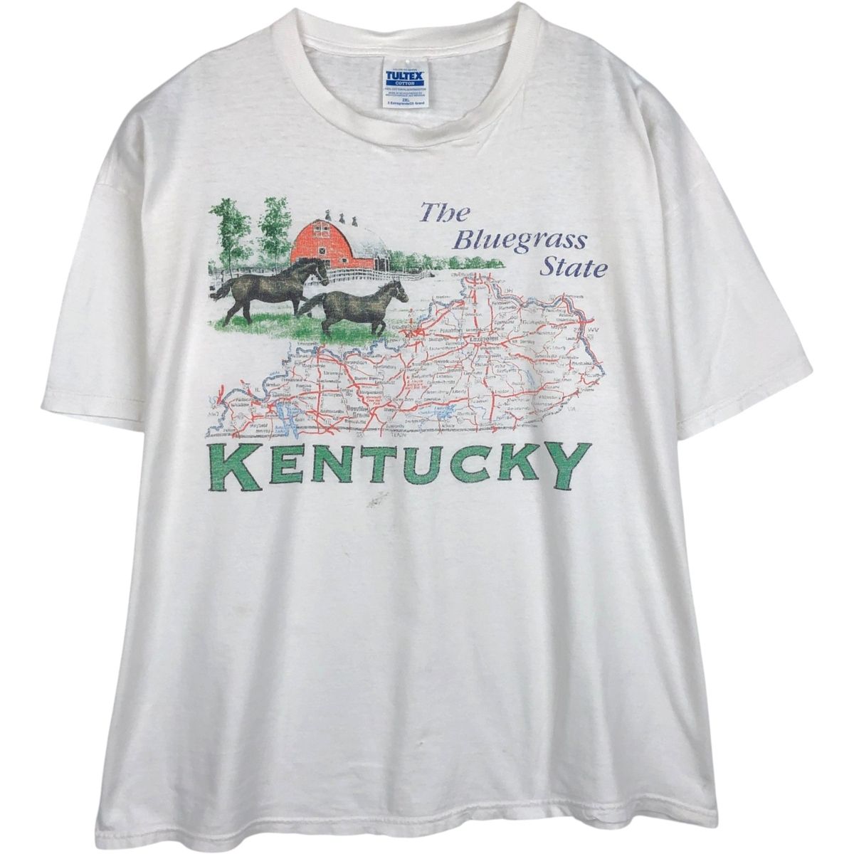 古着 90年代 タルテックス TULTEX プリントTシャツ メンズXXL相当 ヴィンテージ/eaa650396
