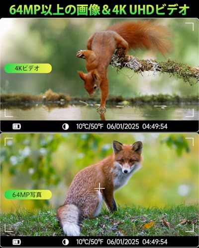 2025最新型【WIFI&ソーラー充電式】 レイルカメラ ソーラー 野生動物監視カメラ 64MP画像 動画4K 0.2秒超高速 トリガースピード 小型 防犯カメラ スマホアプリ対応 赤外線カメラ ス 監視カメラ 夜間撮影対応 赤外線LED付き 7637d635 2025最新型【WIFI&ソーラー充電式】 レイルカメラ ソーラー 野生動物監視カメラ 64MP画像 動画4K 0.2秒超高速 トリガースピード 小型 防犯カメラ スマホアプリ対応 赤外線カメラ ス 監視カメラ 夜間撮影対応 赤外線LED付き 7637d635