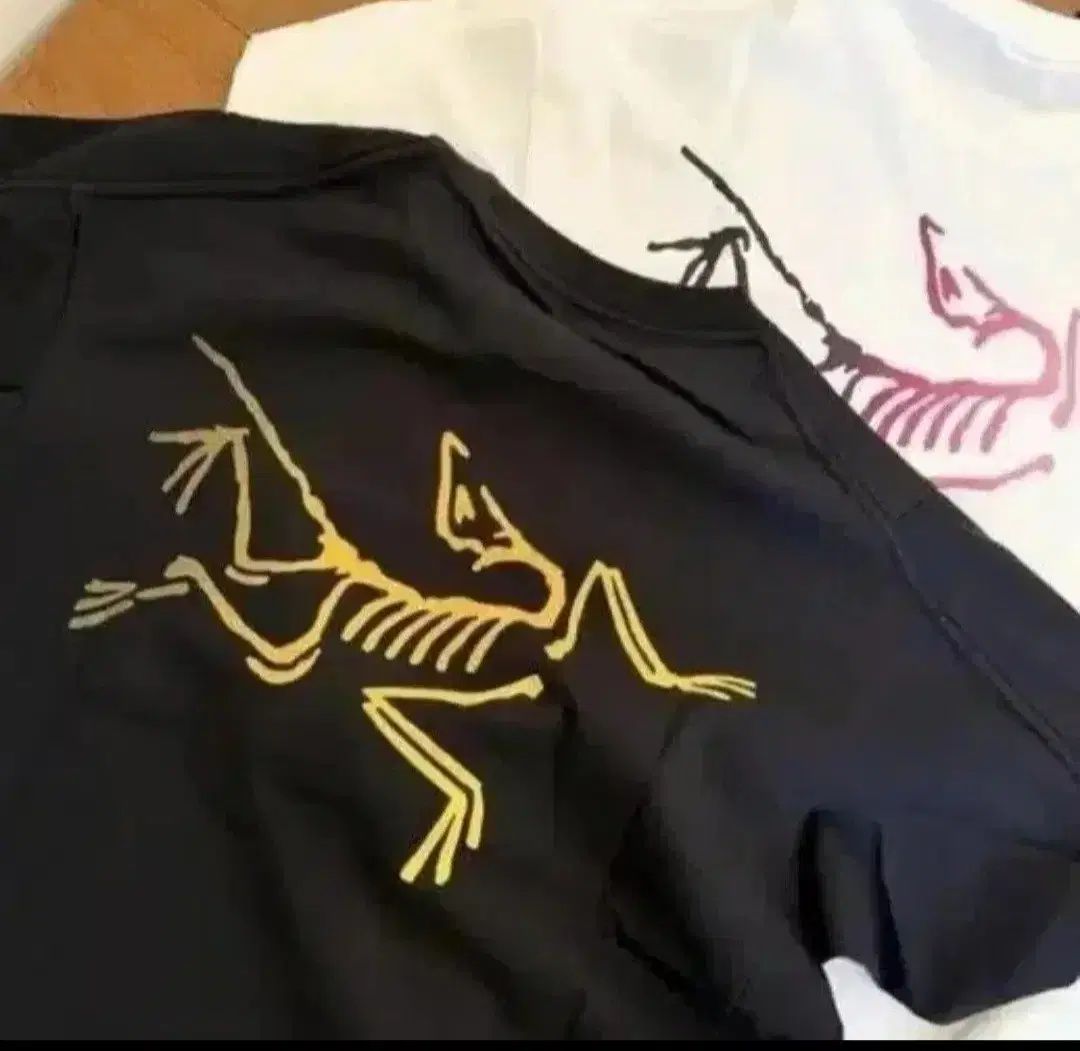 ARC'TERYX アークテリクス 半袖Tシャツ ブラック/白