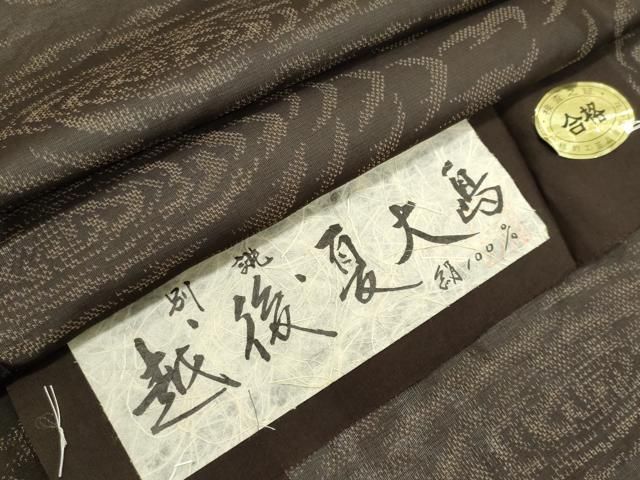 平和屋着物＊夏物　紬　越後　夏大島　紗　流水文　銀糸　証紙付き　正絹　逸品　CABI6487ou