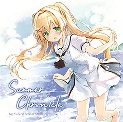 高額CD大量！ 廃盤 同人音楽 音ゲー関連 ゲーム音楽 まとめ売り 福袋