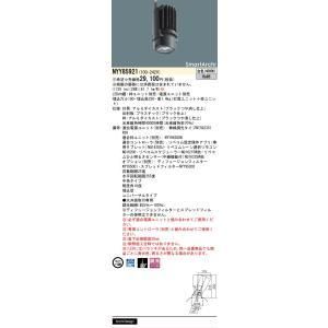 【新品・5営業日で発送】PANASONIC パナソニック 灯具300~500形中角40K S.A NYY85921