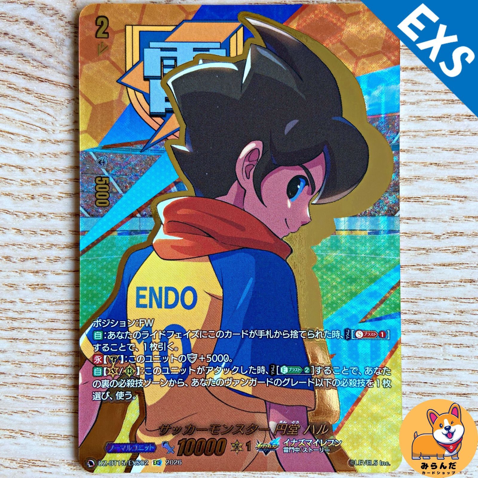 DZ-BT15】 EXS サッカーモンスター 円堂 ハル - メルカリ